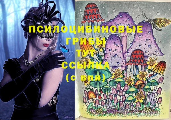 mdma Осинники