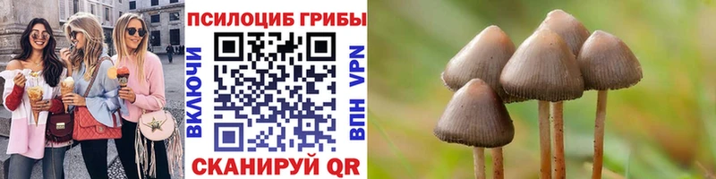 Галлюциногенные грибы мухоморы  мориарти как зайти  Урус-Мартан 