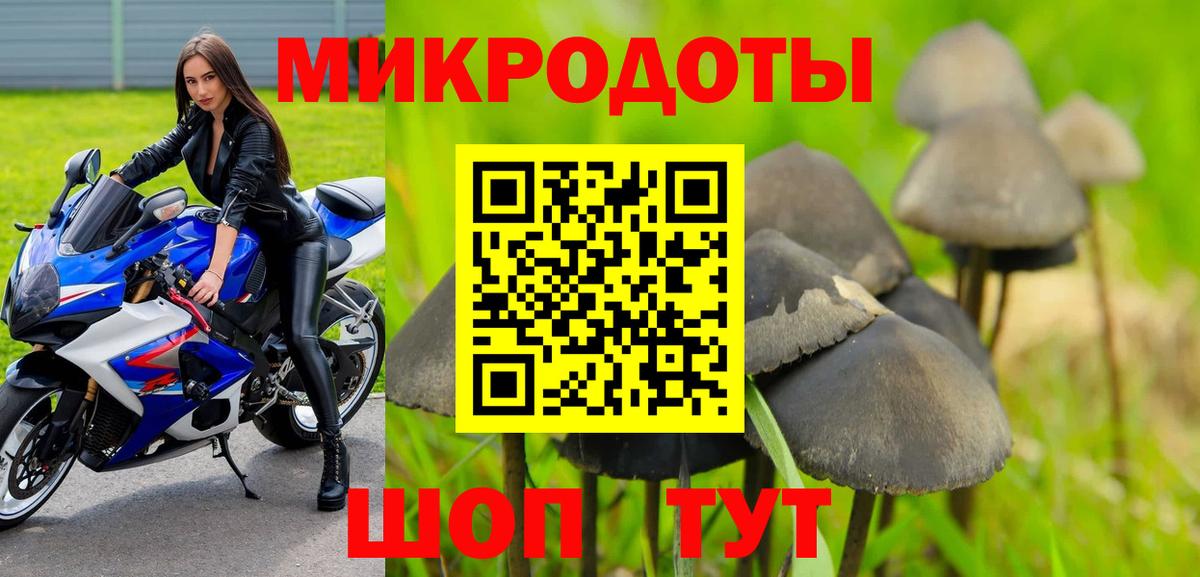 Галлюциногенные грибы Cubensis  Псилоцибиновые грибы Magic Shrooms  Урус-Мартан  Вход с VPN 